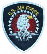 Patch-USAF Eagle