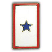 Military Family Member Service Pin 1 Star