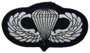 Patch-Army Para Wings