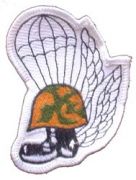 USMC Airborne Patch