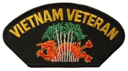 Vietnam Veteran For Cap
