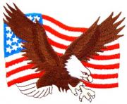 USA Flag With Eagle