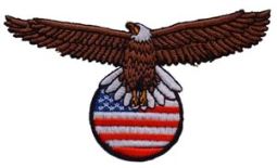 USA Eagle With Globe