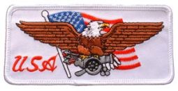 USA Eagle Patch