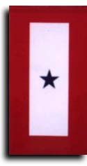 12 X 18 Inch Service Star Banner