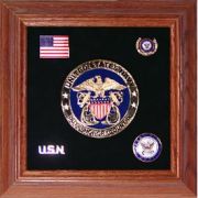 Medallion USN Framed 4"  Round with Pins