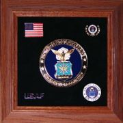 Medallion USAF Framed 4" Round with Pins