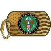 Army Logo With USA Flag Pin