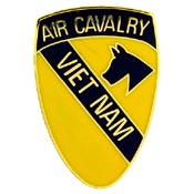 Vietnam 1st Air Cav Pin