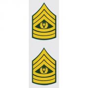 Gold Service Star Decal