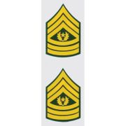 Gold Service Star Decal