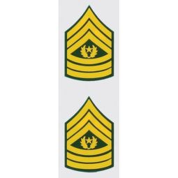 Gold Service Star Decal