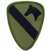 Army 1st. Cavalry Subdued