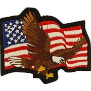 Patch- USA Eagle