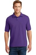 Hanes EcoSmart - 5.2-Ounce Jersey Knit Sport Shirt. 054X