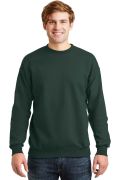 Hanes - EcoSmart Crewneck Sweatshirt.  P160