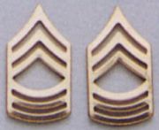 Master Sergeant Pin On Rank