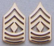 First Sergeant Pin On Rank