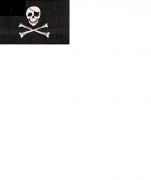 Jolly Roger Pirate Flag #1464