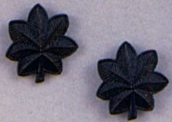 LT Colonel Subdued Pin On Rank